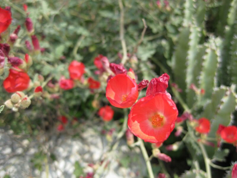 File:IMG 4410 hunt0904.jpg