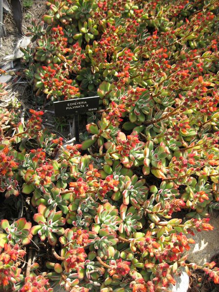 File:IMG 4415 hunt0904.jpg