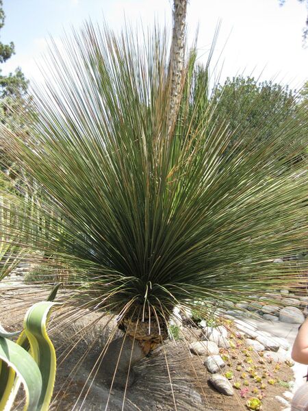 File:IMG 4419 hunt0904.jpg