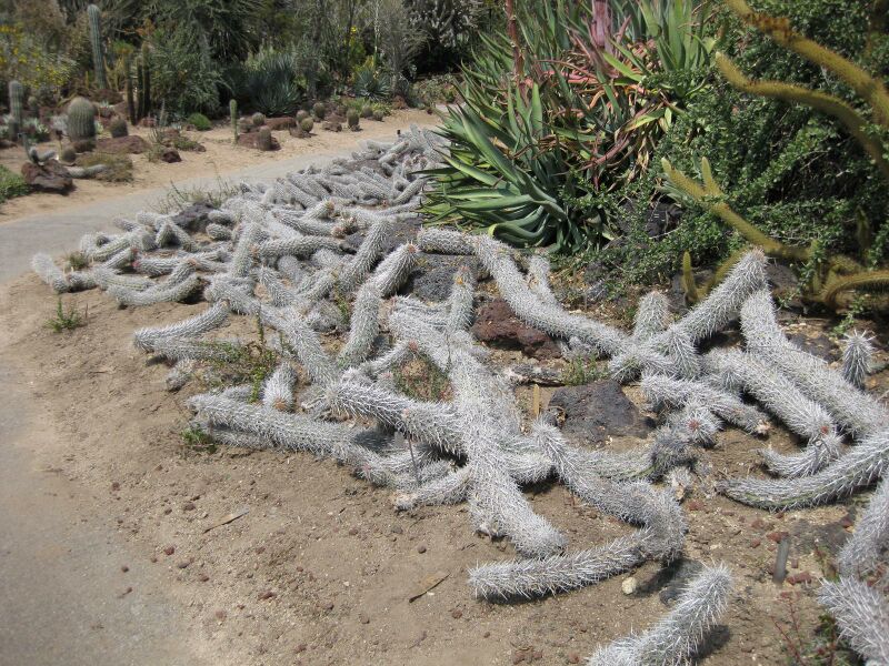 File:IMG 4422 hunt0904.jpg