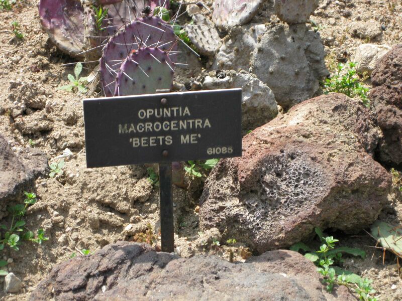 File:IMG 4426 hunt0904.jpg