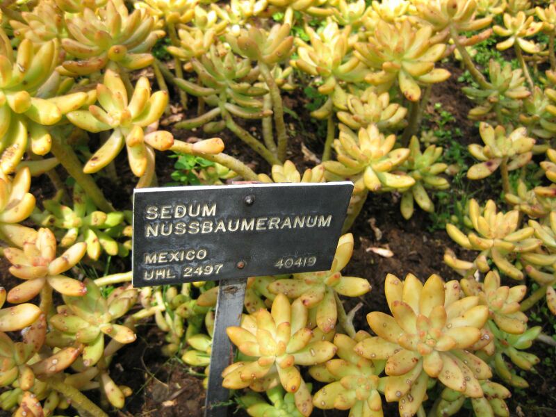 File:IMG 4433 hunt0904.jpg