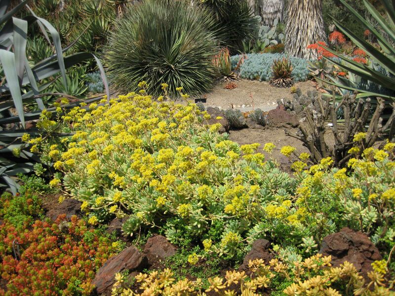 File:IMG 4434 hunt0904.jpg