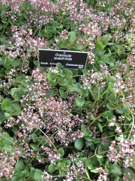 File:IMG 4437 hunt0904.jpg