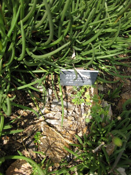 File:IMG 4439 hunt0904.jpg