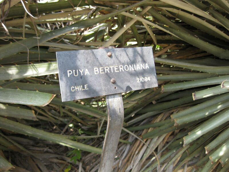 File:IMG 4444 hunt0904.jpg