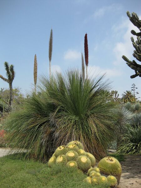 File:IMG 4450 hunt0904.jpg