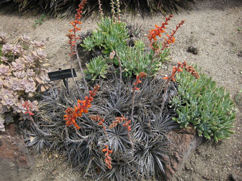 File:IMG 4456 hunt0904.jpg