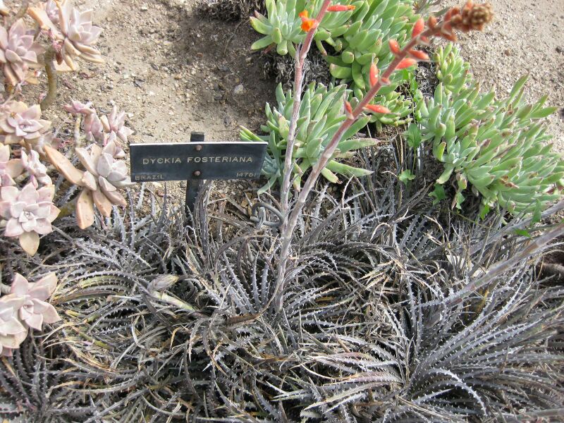 File:IMG 4457 hunt0904.jpg