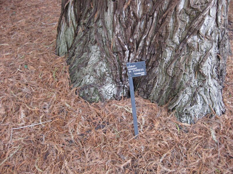 File:IMG 4461 hunt0904.jpg