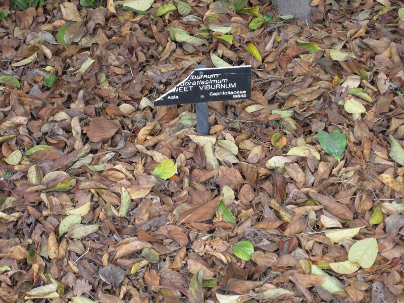 File:IMG 4464 hunt0904.jpg