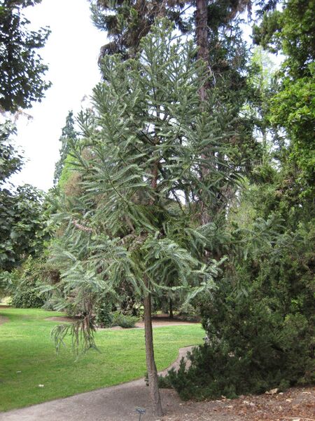 File:IMG 4465 hunt0904.jpg