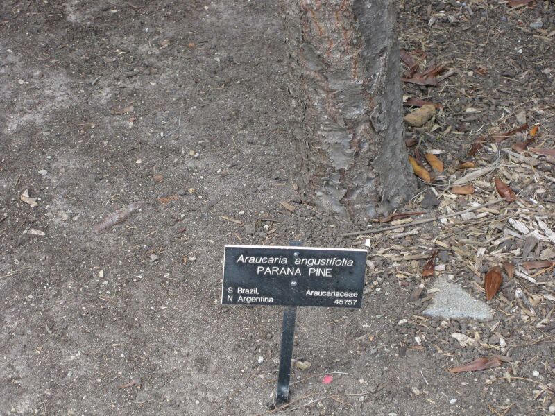 File:IMG 4466 hunt0904.jpg