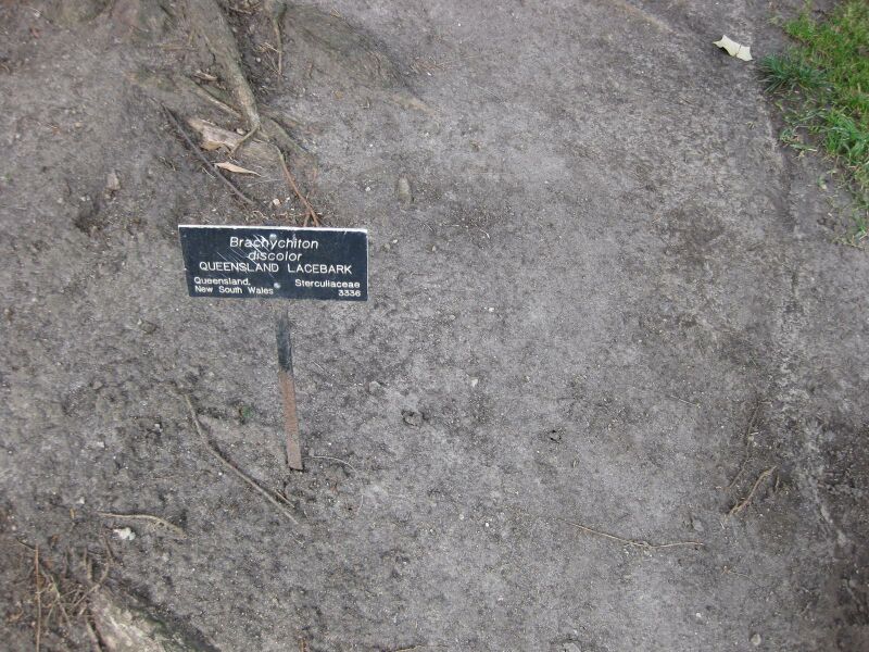 File:IMG 4470 hunt0904.jpg