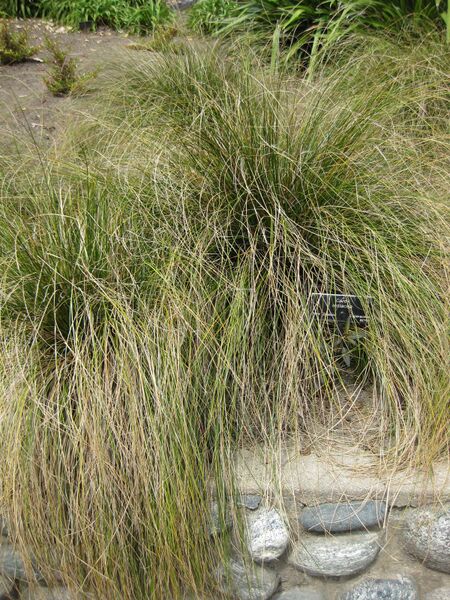 File:IMG 4475 hunt0904.jpg