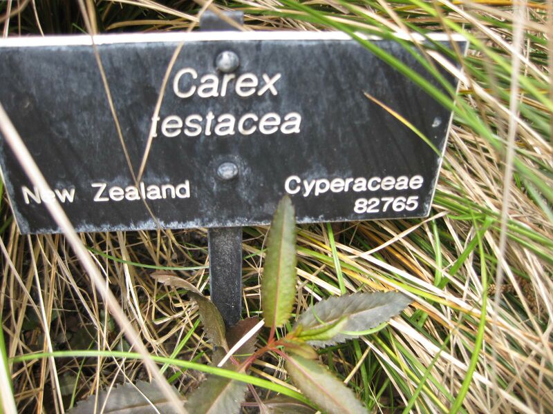 File:IMG 4476 hunt0904.jpg