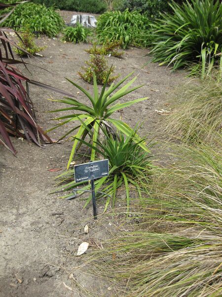 File:IMG 4477 hunt0904.jpg