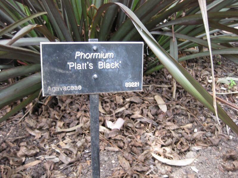 File:IMG 4481 hunt0904.jpg