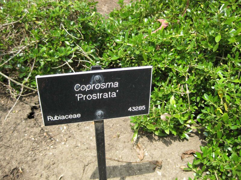 File:IMG 4488 hunt0904.jpg