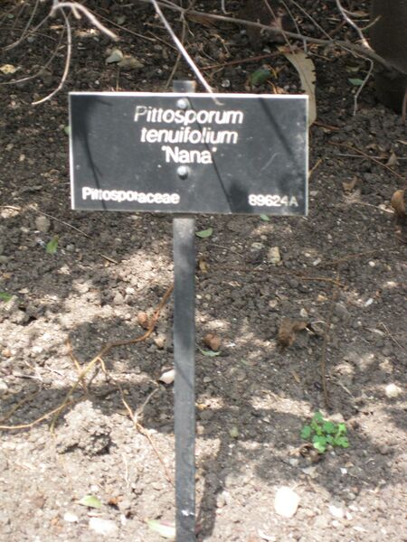 File:IMG 4490 hunt0904.jpg