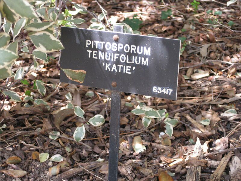 File:IMG 4494 hunt0904.jpg