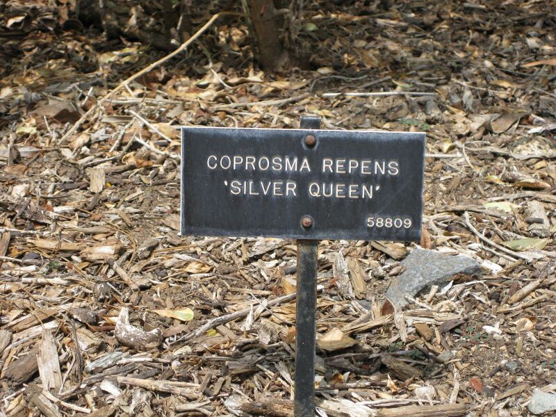 File:IMG 4496 hunt0904.jpg