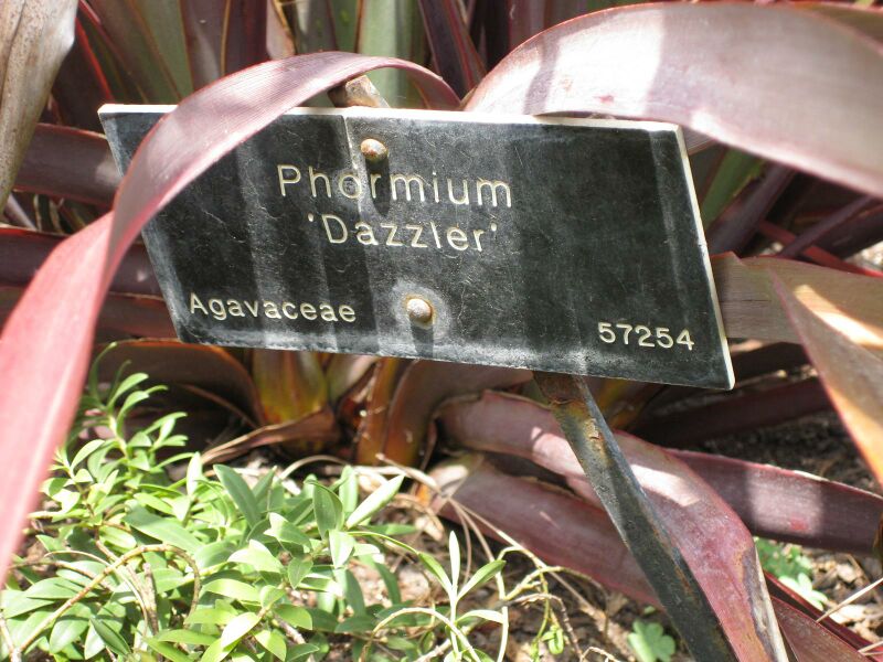 File:IMG 4498 hunt0904.jpg