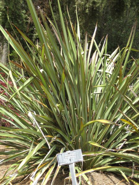 File:IMG 4502 hunt0904.jpg