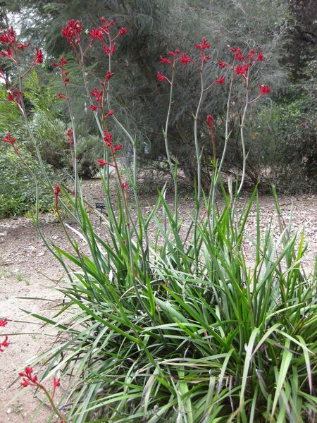 File:IMG 4504 hunt0904.jpg