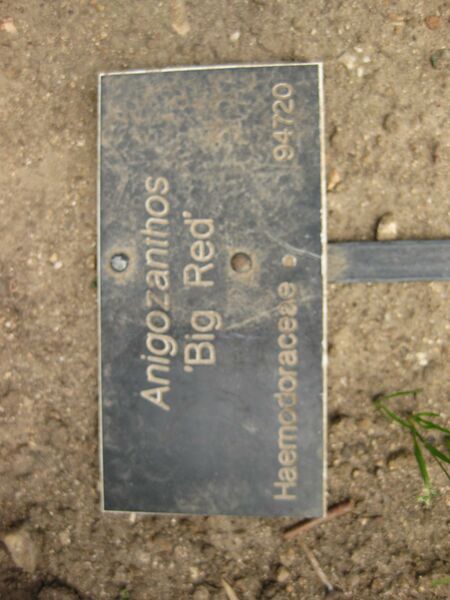 File:IMG 4508 hunt0904.jpg