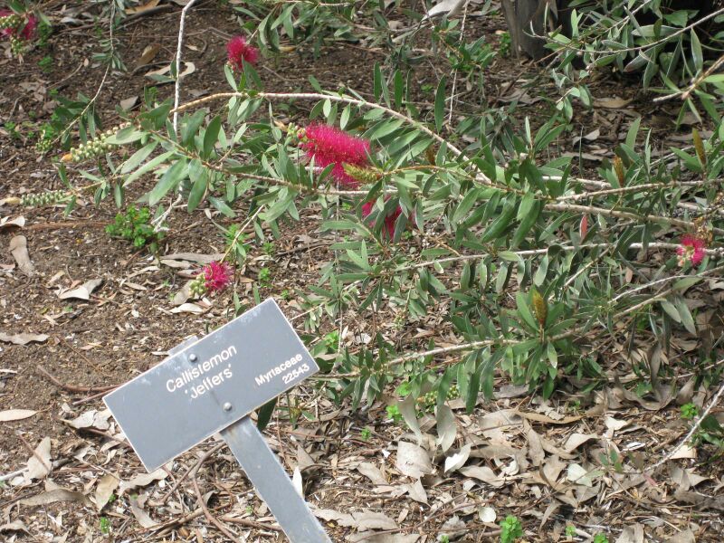 File:IMG 4511 hunt0904.jpg