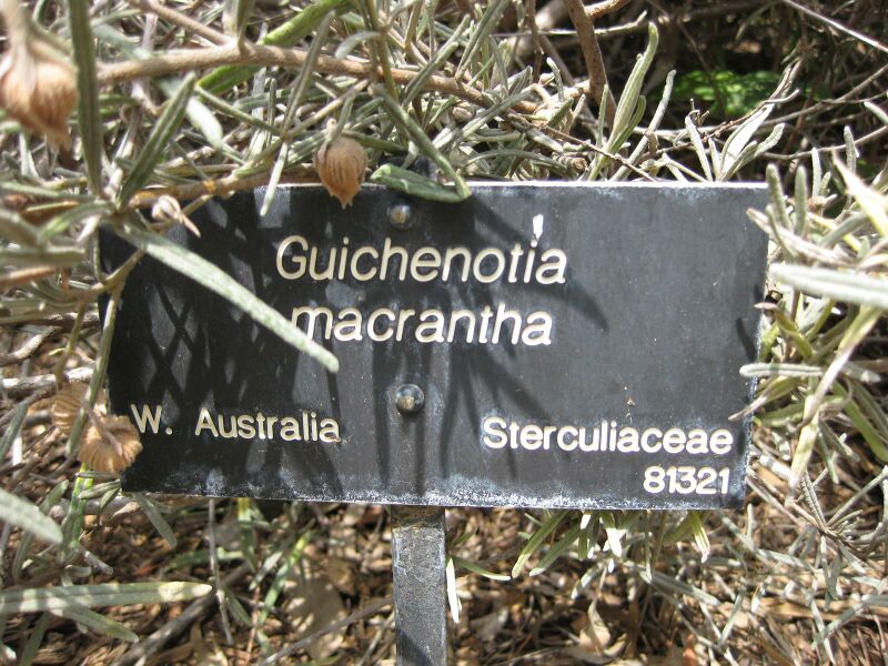 File:IMG 4517 hunt0904.jpg