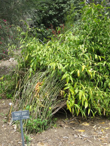 File:IMG 4520 hunt0904.jpg