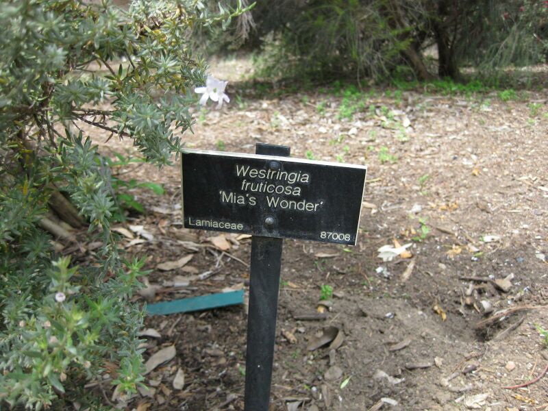 File:IMG 4523 hunt0904.jpg