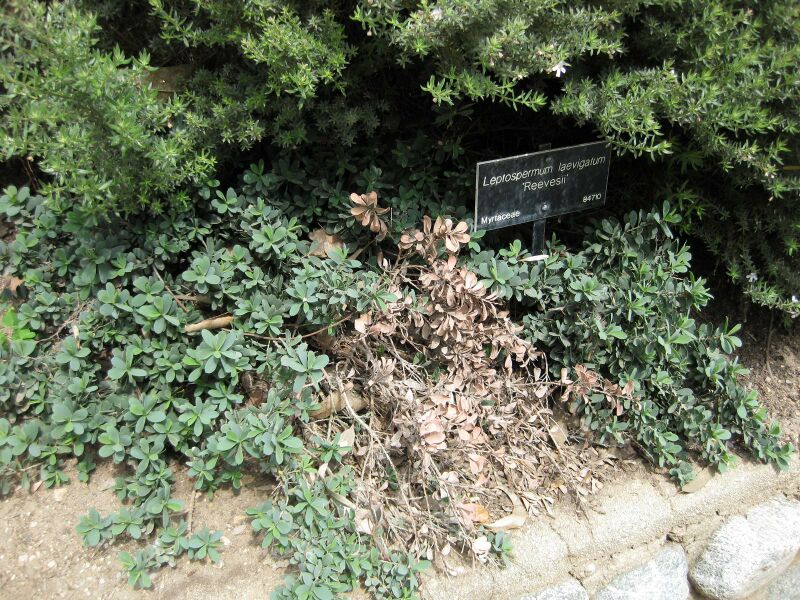 File:IMG 4524 hunt0904.jpg