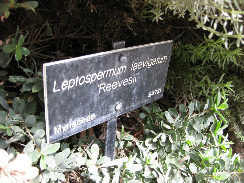 File:IMG 4525 hunt0904.jpg