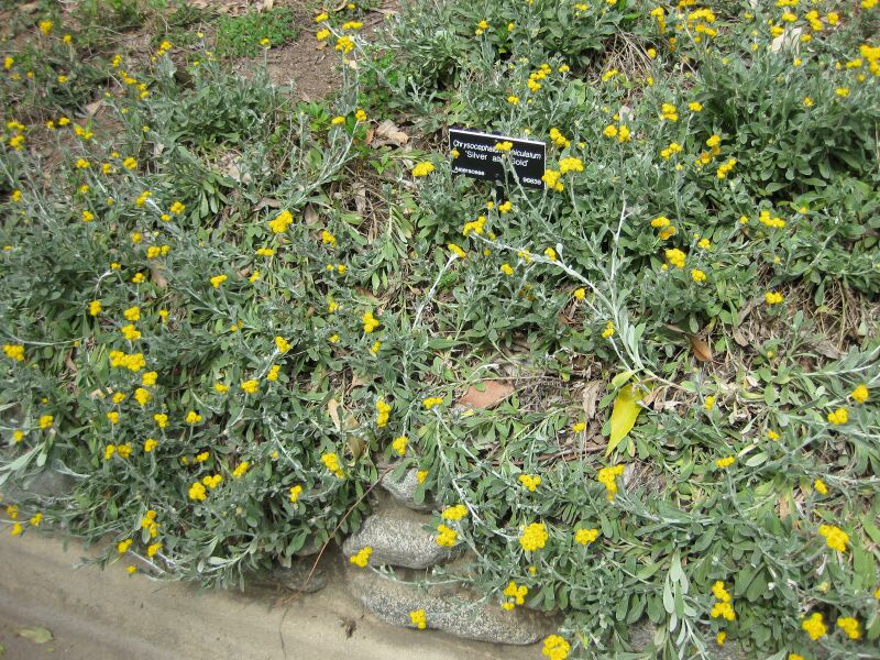 File:IMG 4526 hunt0904.jpg