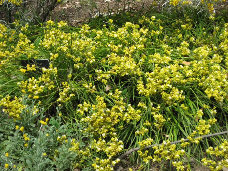 File:IMG 4528 hunt0904.jpg