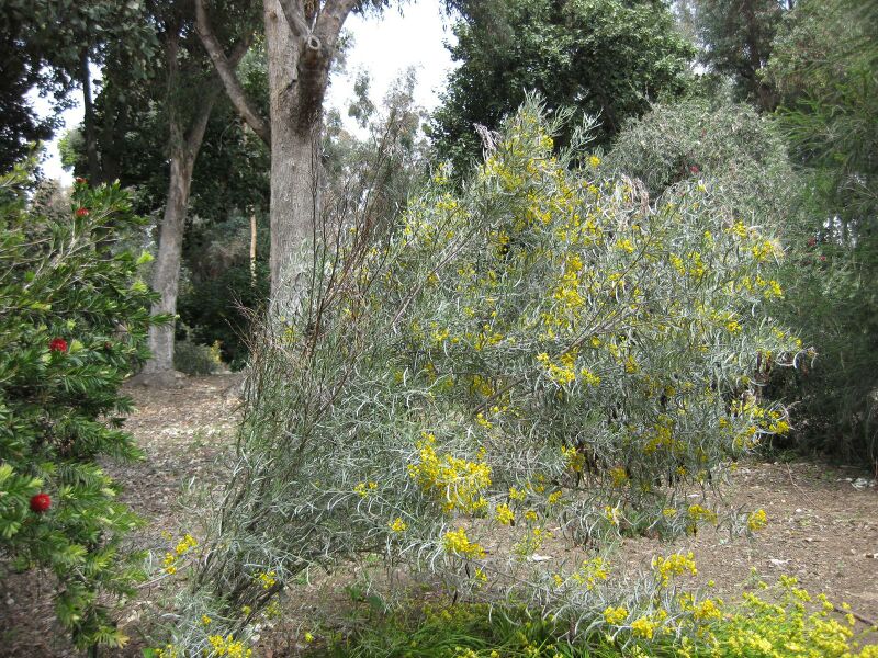 File:IMG 4530 hunt0904.jpg