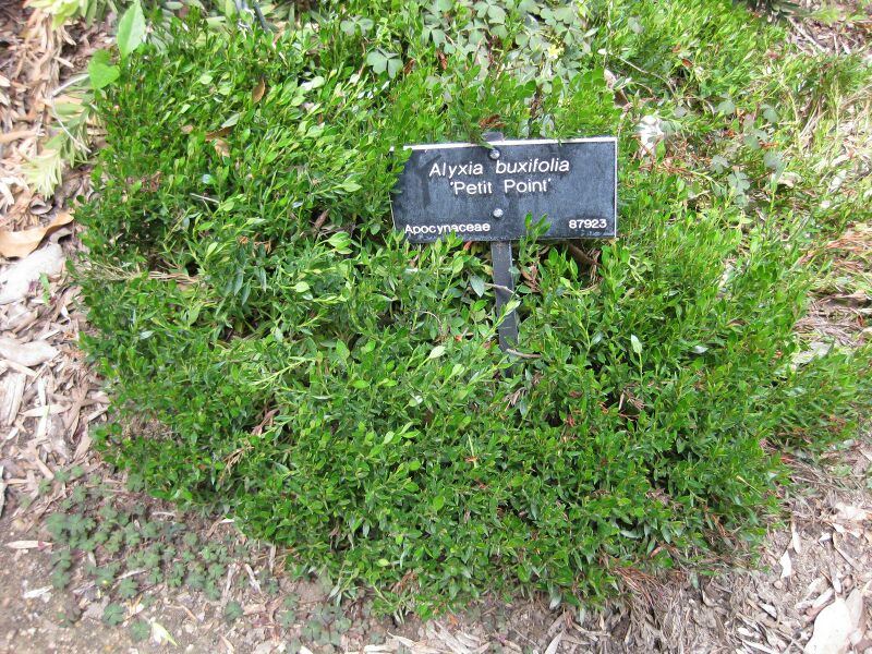 File:IMG 4532 hunt0904.jpg