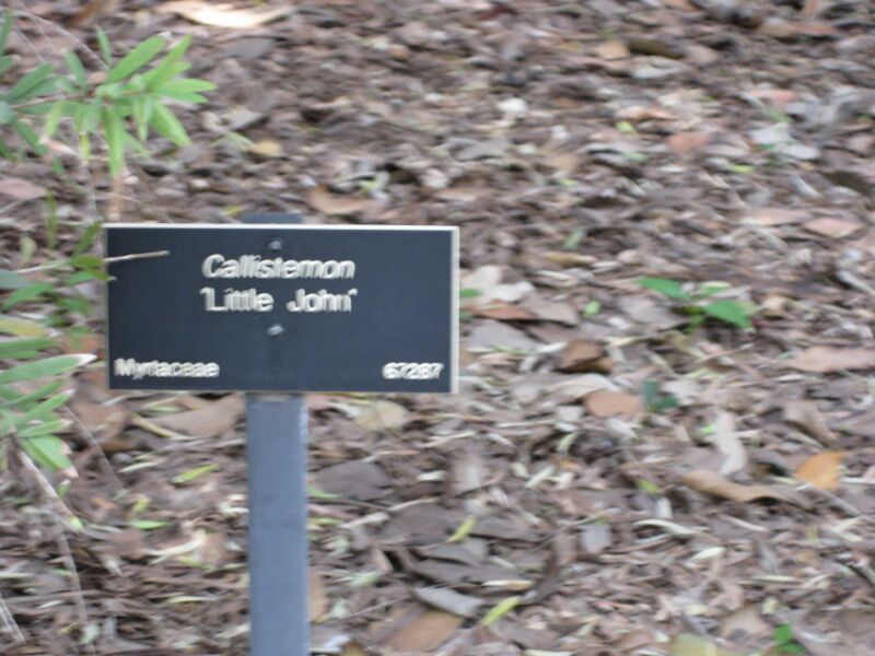 File:IMG 4535 hunt0904.jpg