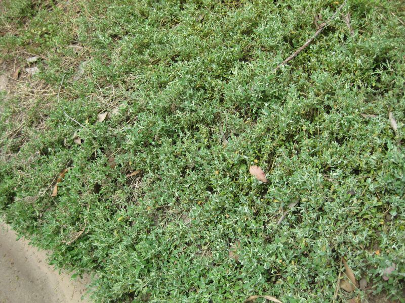 File:IMG 4542 hunt0904.jpg