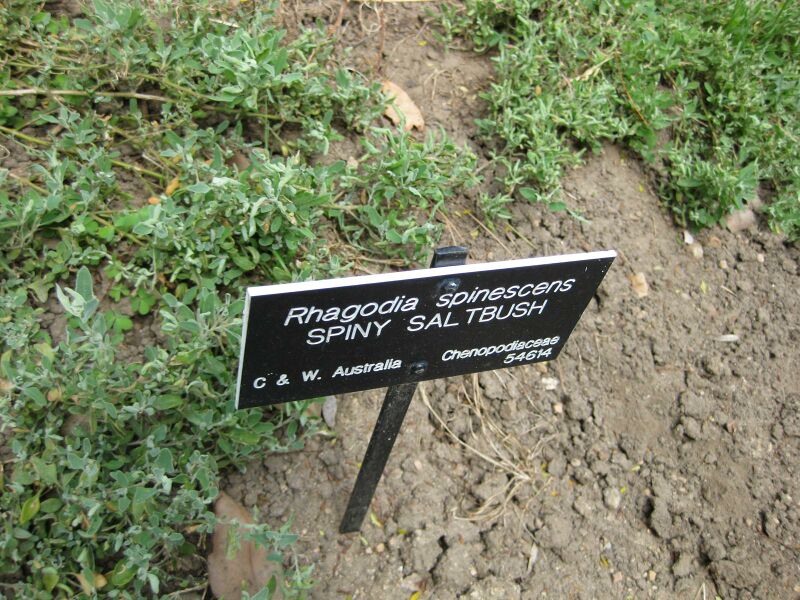 File:IMG 4543 hunt0904.jpg