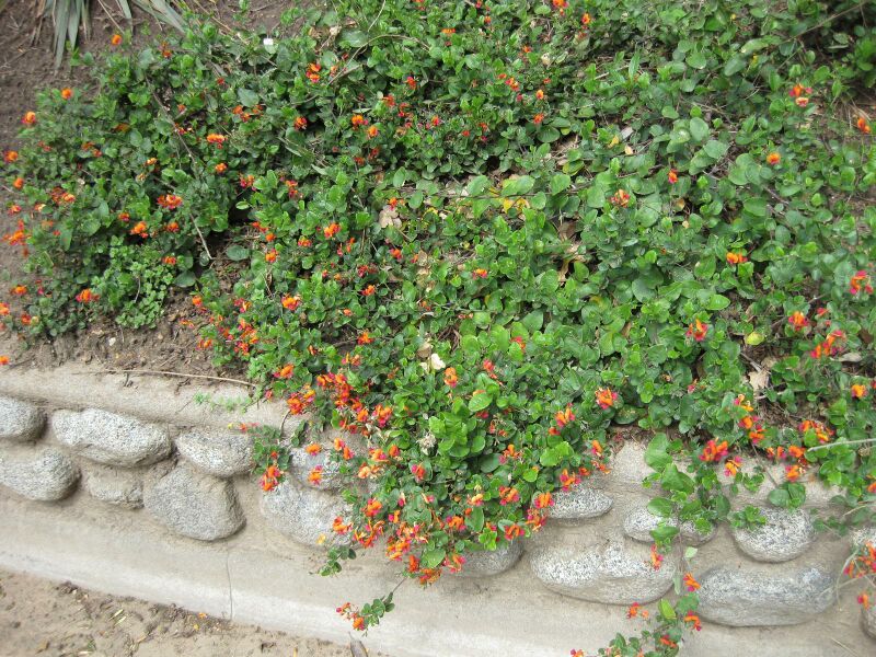 File:IMG 4544 hunt0904.jpg