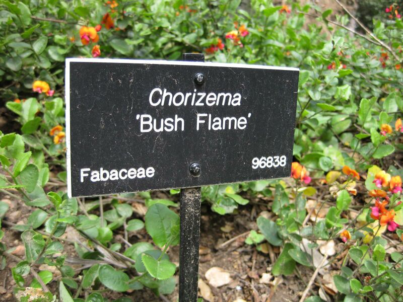 File:IMG 4546 hunt0904.jpg