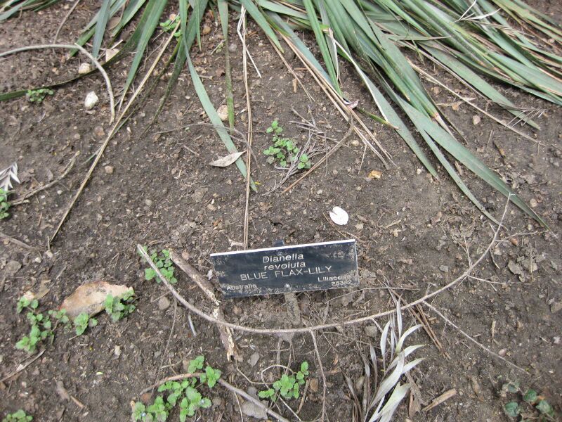 File:IMG 4548 hunt0904.jpg