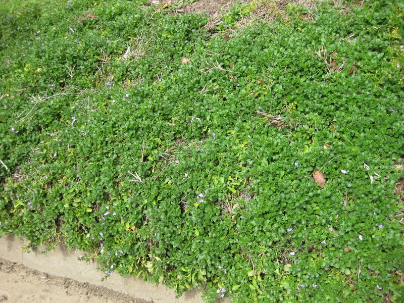 File:IMG 4549 hunt0904.jpg