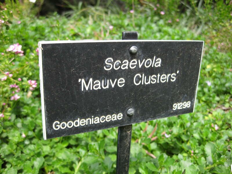 File:IMG 4551 hunt0904.jpg