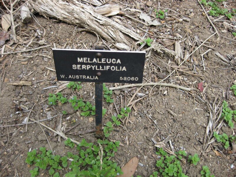 File:IMG 4554 hunt0904.jpg