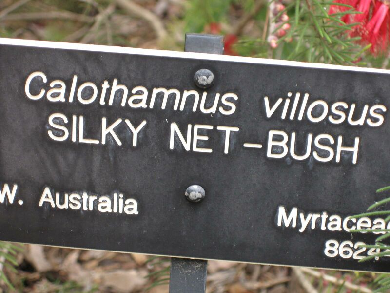 File:IMG 4562 hunt0904.jpg